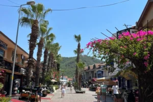 Itinerary Image 2